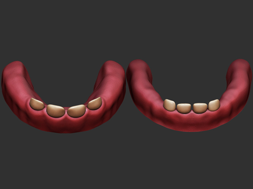 teeth
